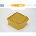 Food grade pizza sandwich plastic bread box for travel